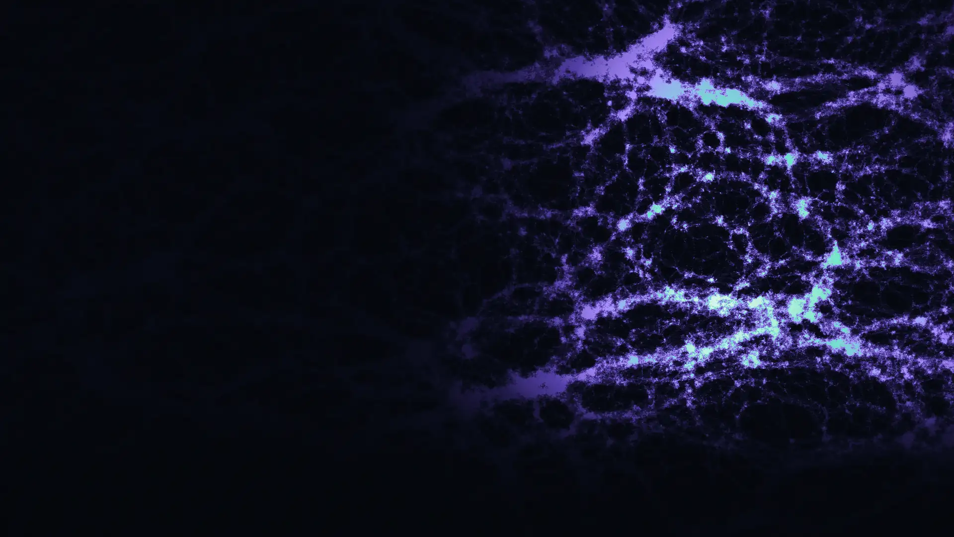 Concept art: a dark field of violet and mint filaments, nodes and voids, in the shape of cosmic large-scale structure. Generated from a fixed random seed; not an observation.